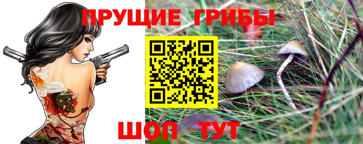 Псилоцибиновые грибы MAGIC MUSHROOMS Кропоткин