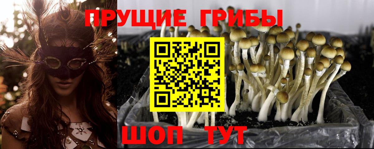 Галлюциногенные грибы Magic Shrooms  Вход с VPN  Кропоткин  Галлюциногенные грибы мухоморы 